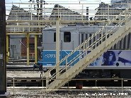 Cliquez sur l'imagette pour l'agrandir